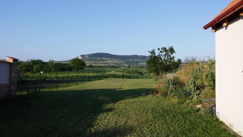 Penzion Dolní Dunajovice 외부 사진